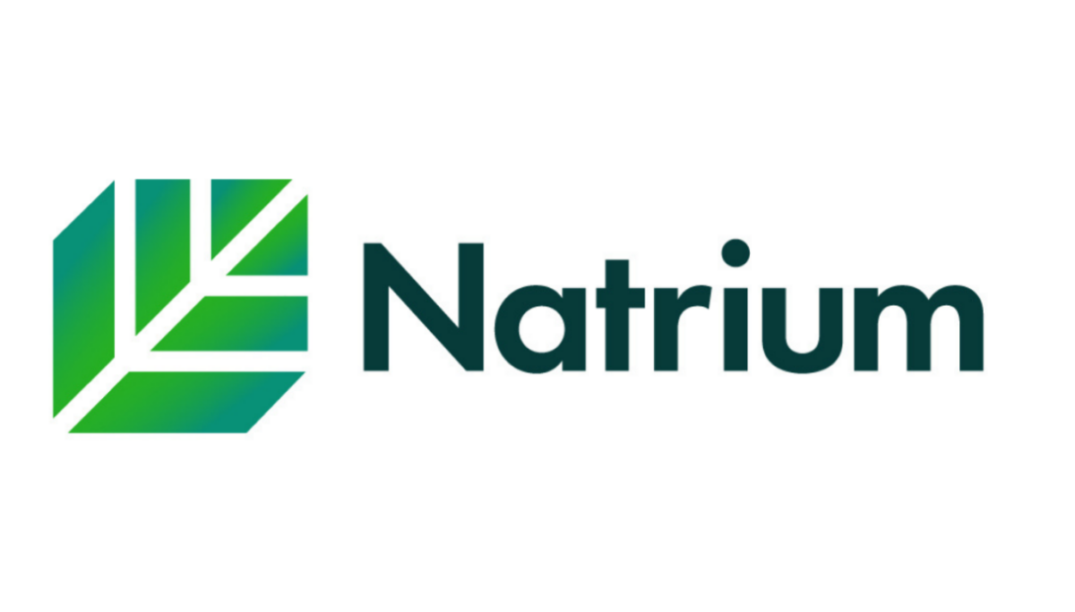 Natrium Logo Story