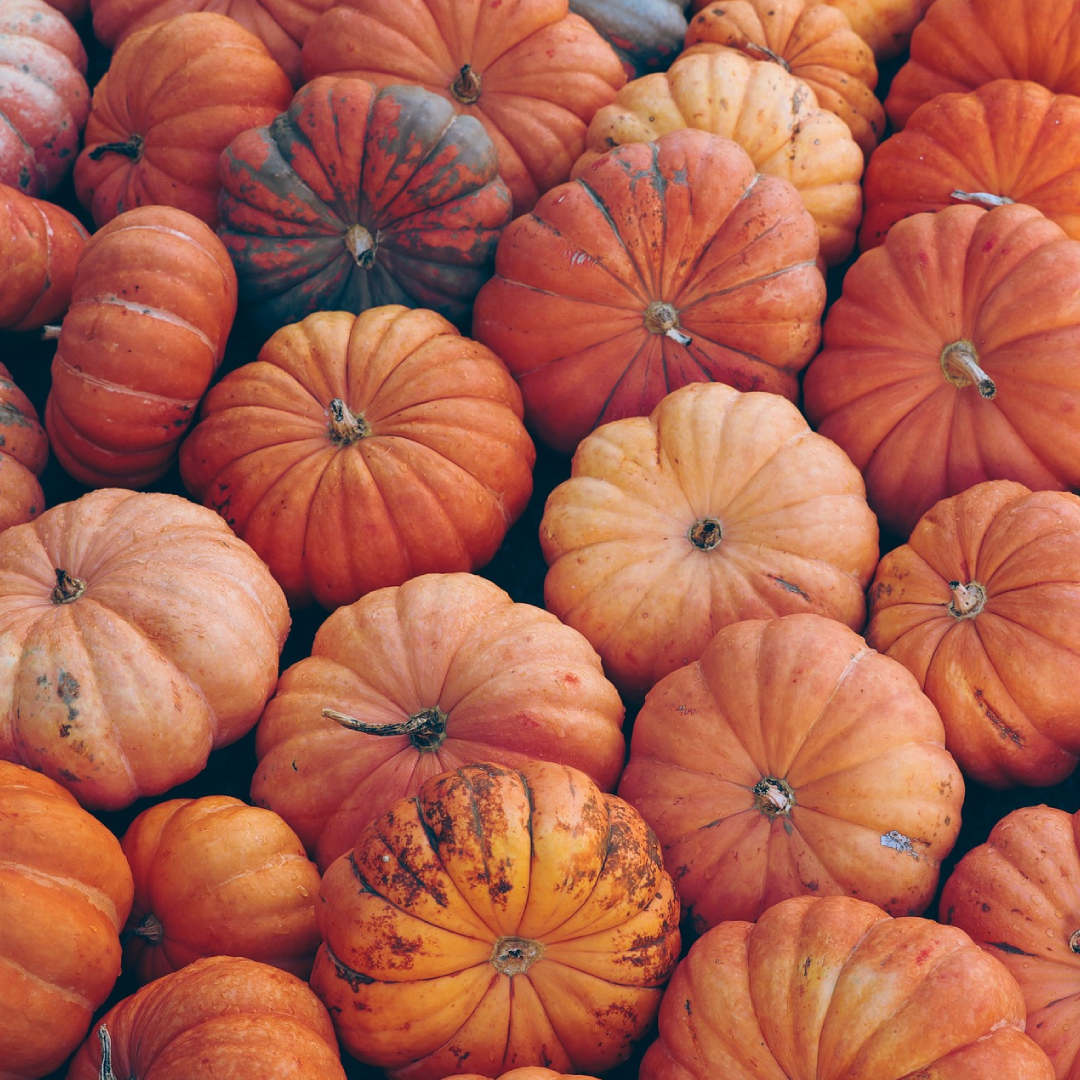 Keeping parks tidy and wildlife safe during pumpkin season