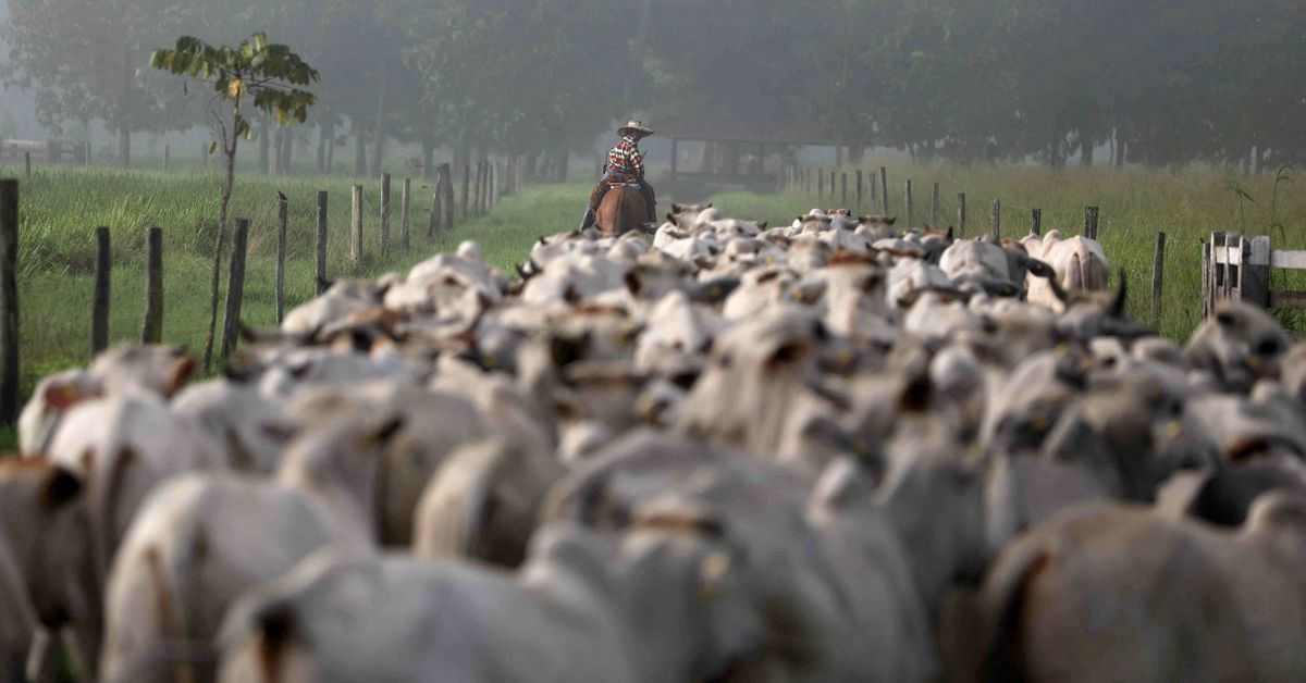 Brazil food sector accounts for 74% of emissions: study