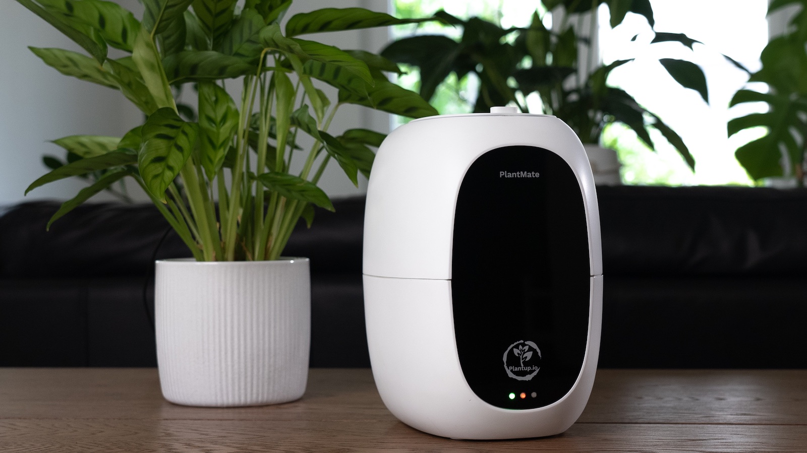 This smart plant care device ensures your plants thrive