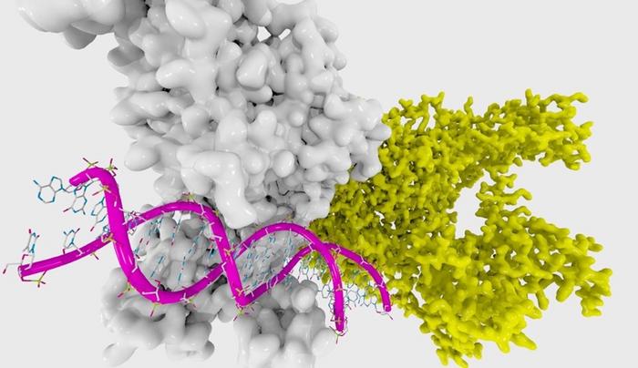 Estimating gastric cancer risk using DNA methylation and lifestyle data