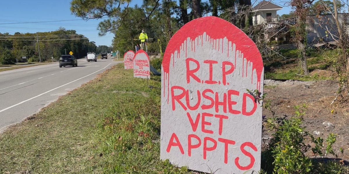 Veterinarian raises awareness about mental health with Halloween decorations on Carolina Beach Road