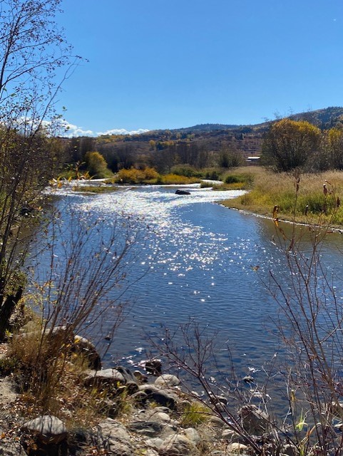 Candidates talk climate action, Yampa River Valley protection in 2023 Sustainability Forum