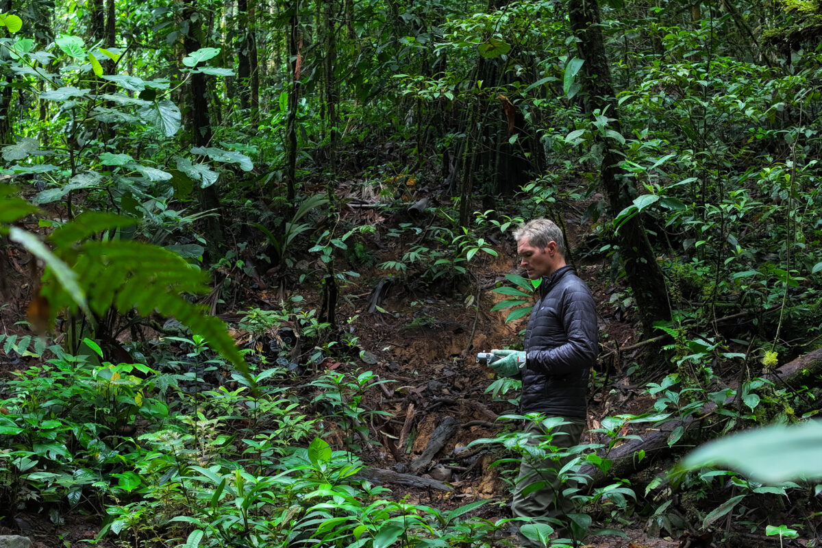 Mongabay wins prestigious 2023 Biophilia Award for Environmental Communication