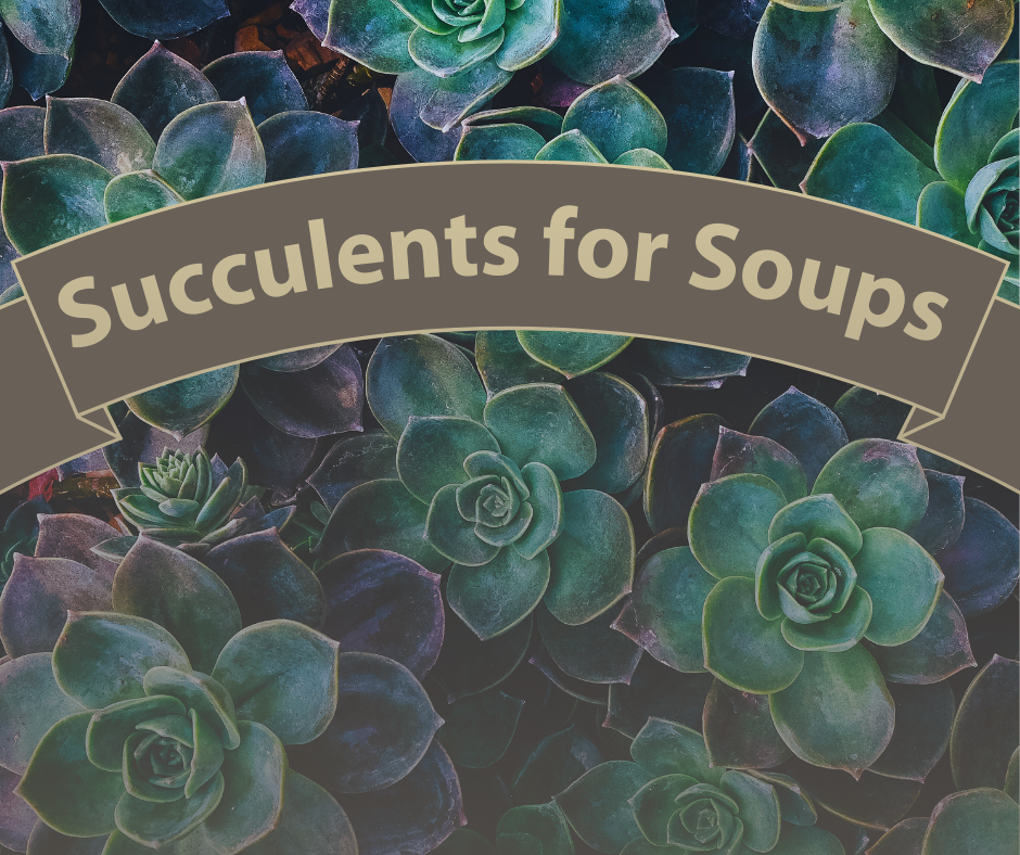 Succulents for Soups: A water-wise food drive beginning November 28