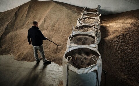 The world is precariously dependent on just a handful of staple food crops