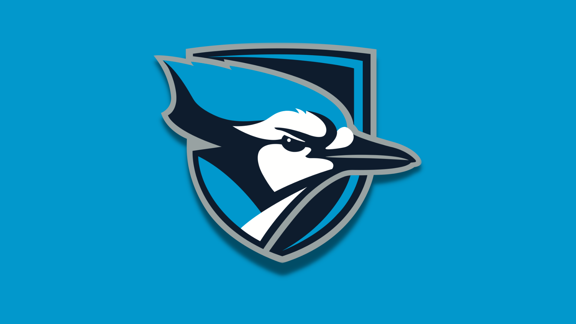 Elmhurst University Basketball Staff Update