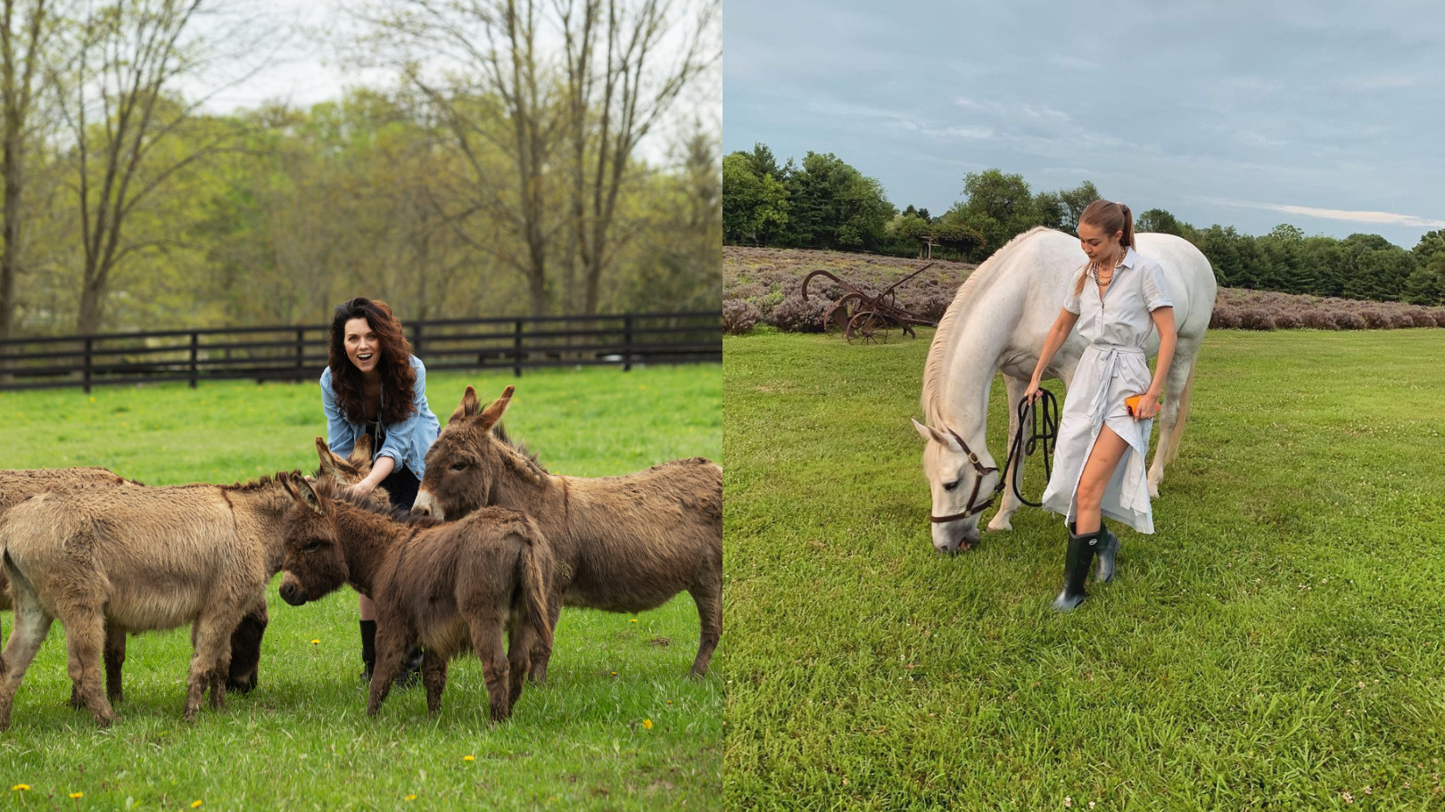 Gigi Hadid to Amanda Seyfried: 8 celebrities who have embraced the farm life