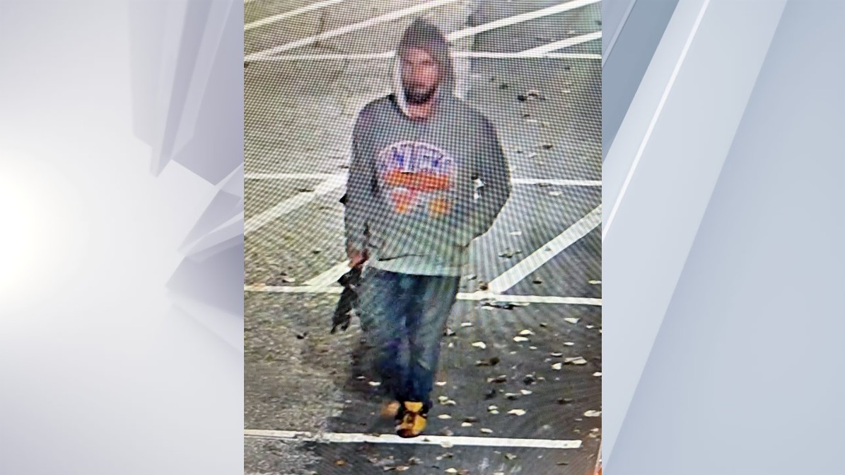 Police arrest suspect accused of stealing cop car and rifle