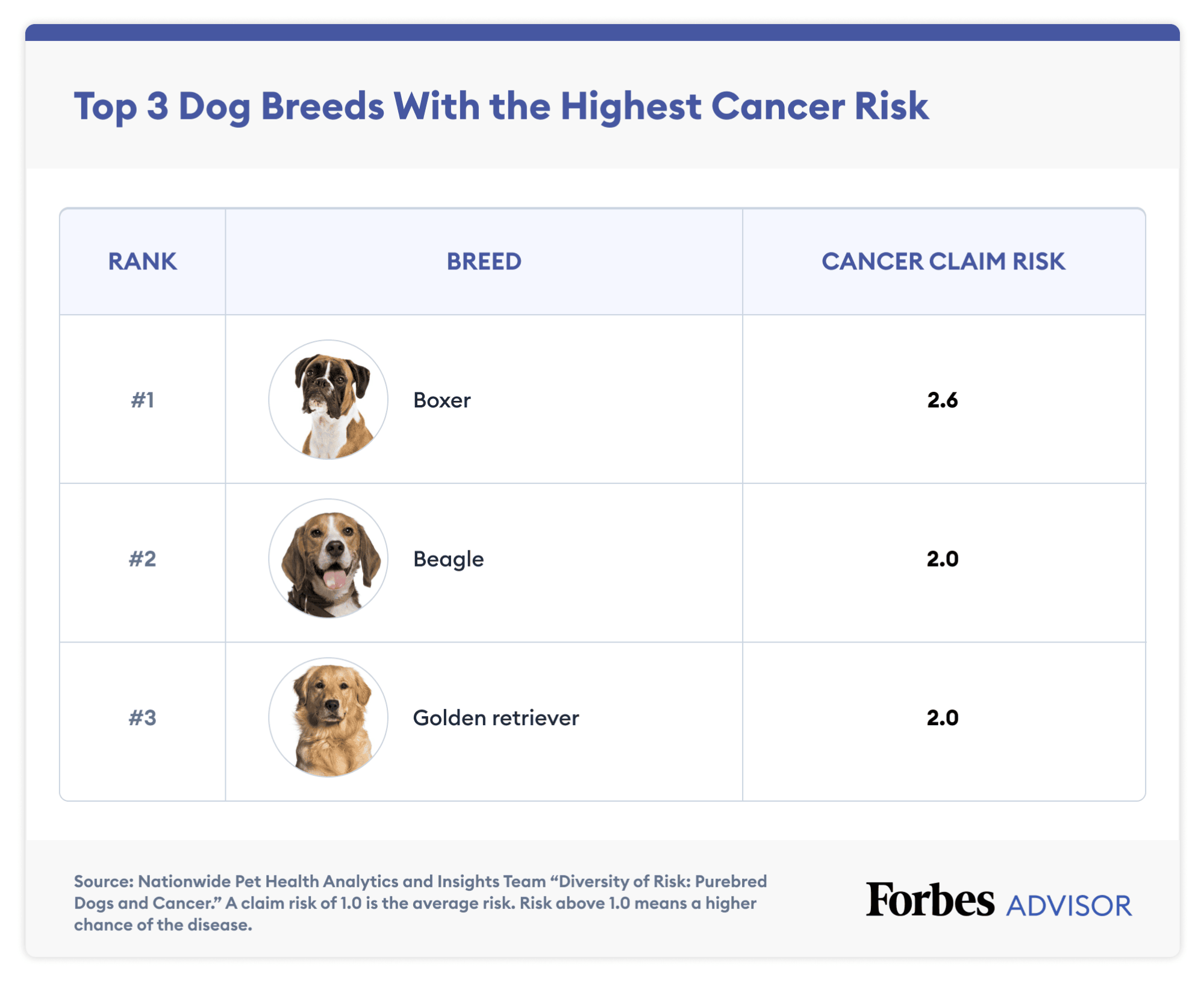 Dog Breeds With The Highest Chances Of Health Problems