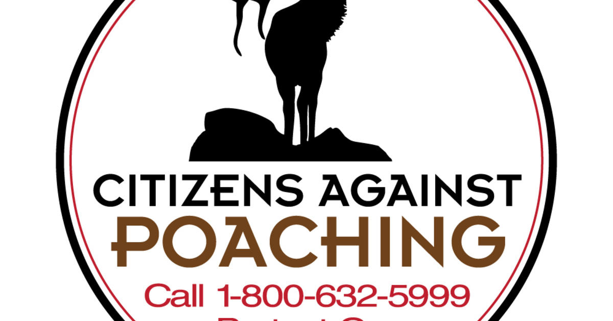 Poachers beware – public plays a vital role in fighting wildlife crime | Idaho Fish and Game