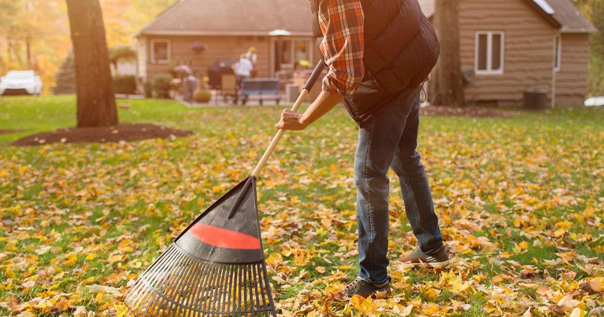 How your seasonal chores count toward your fitness goals