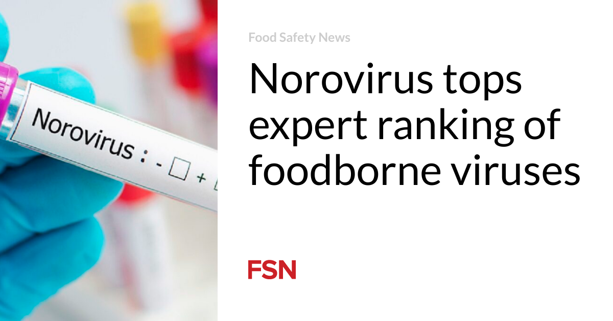 Norovirus tops expert ranking of foodborne viruses