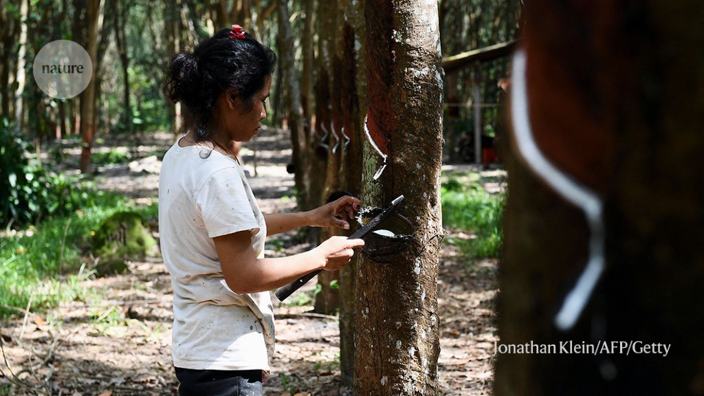 Assessing the scale of rubber deforestation in southeast Asia