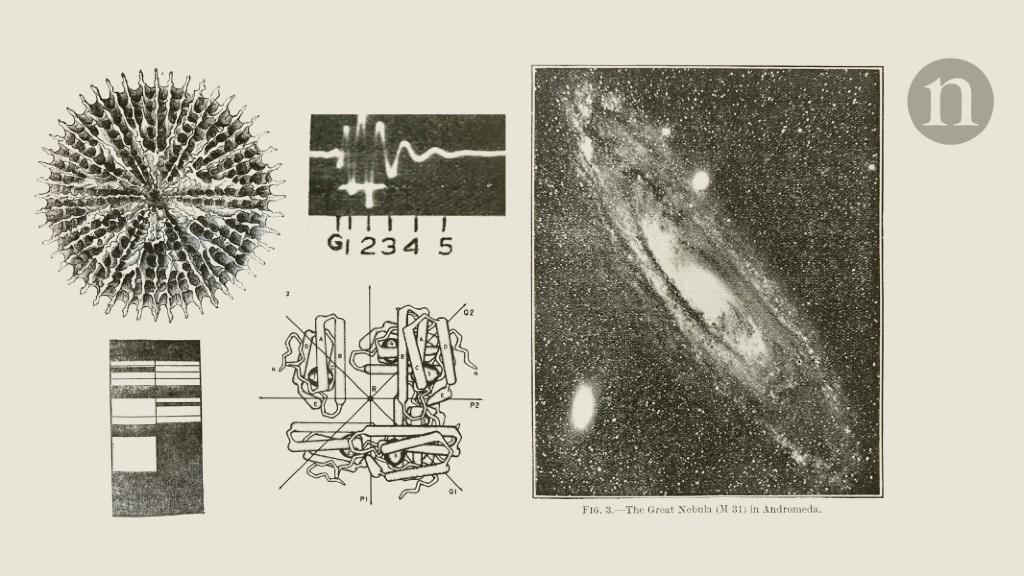 From the archive: soap success, and Michael Faraday’s lecture tips