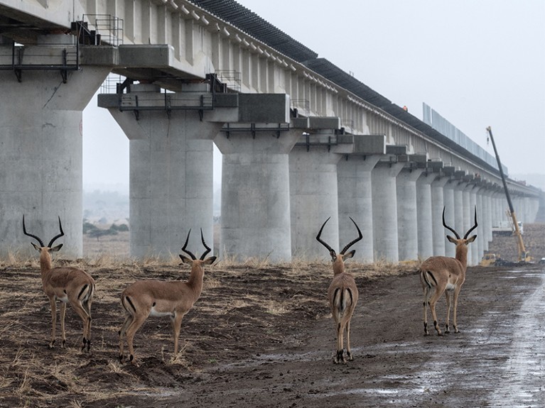 China’s Belt and Road Initiative is boosting science — the West must engage, not withdraw