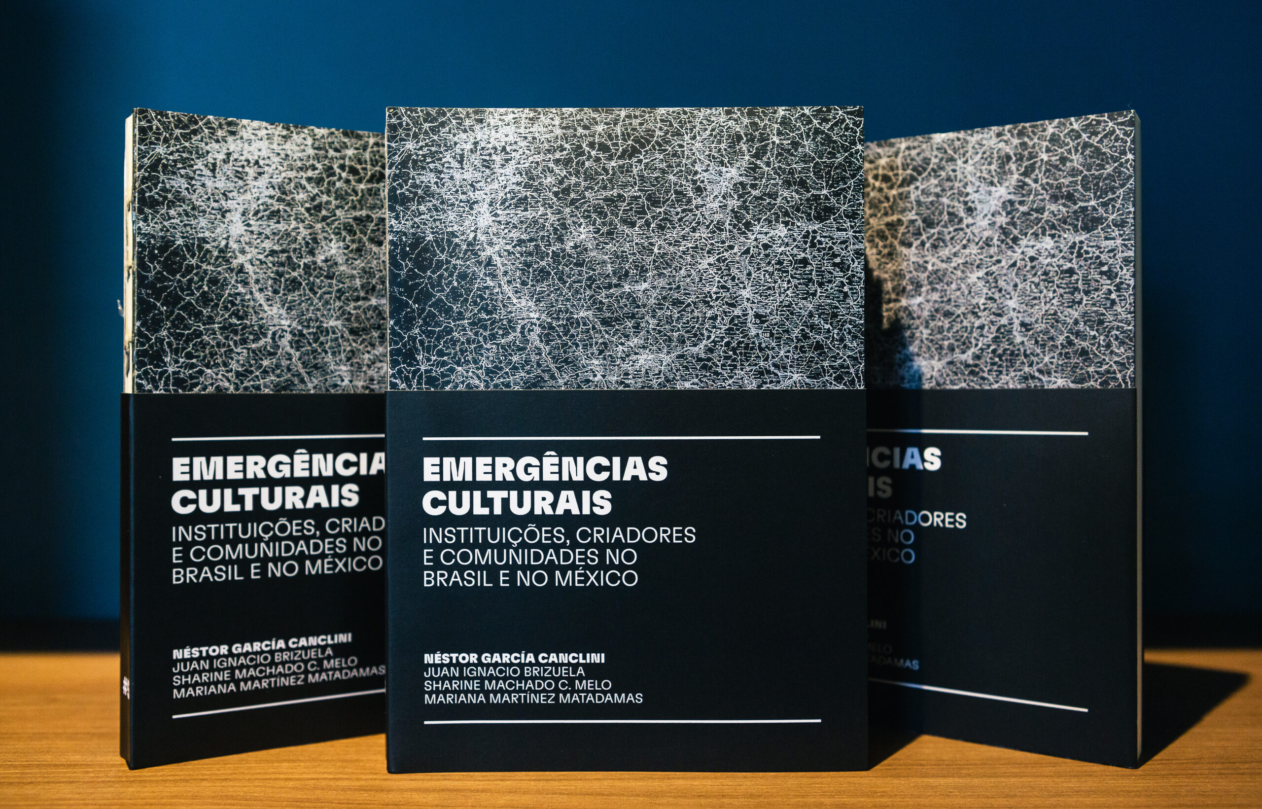 Seminário debate o livro “Emergências culturais”