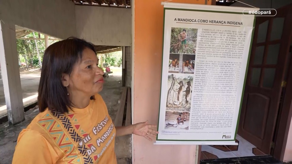 Mandioca: alimento essencial para a cultura e culinária paraense