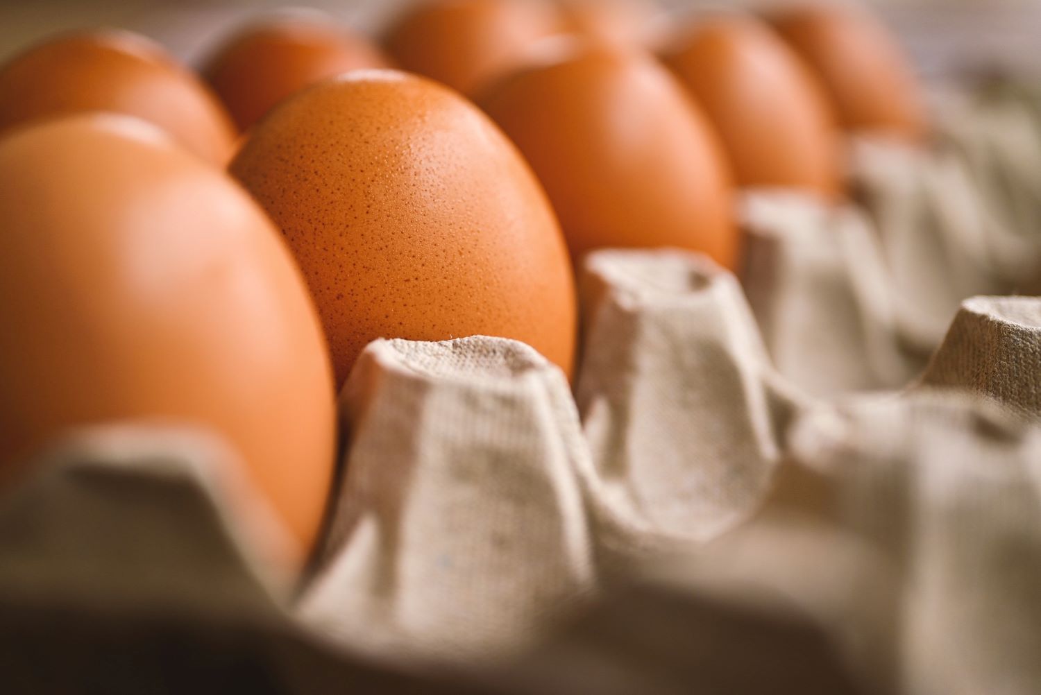 A Comprehensive Picture of Health Benefits of Eggs