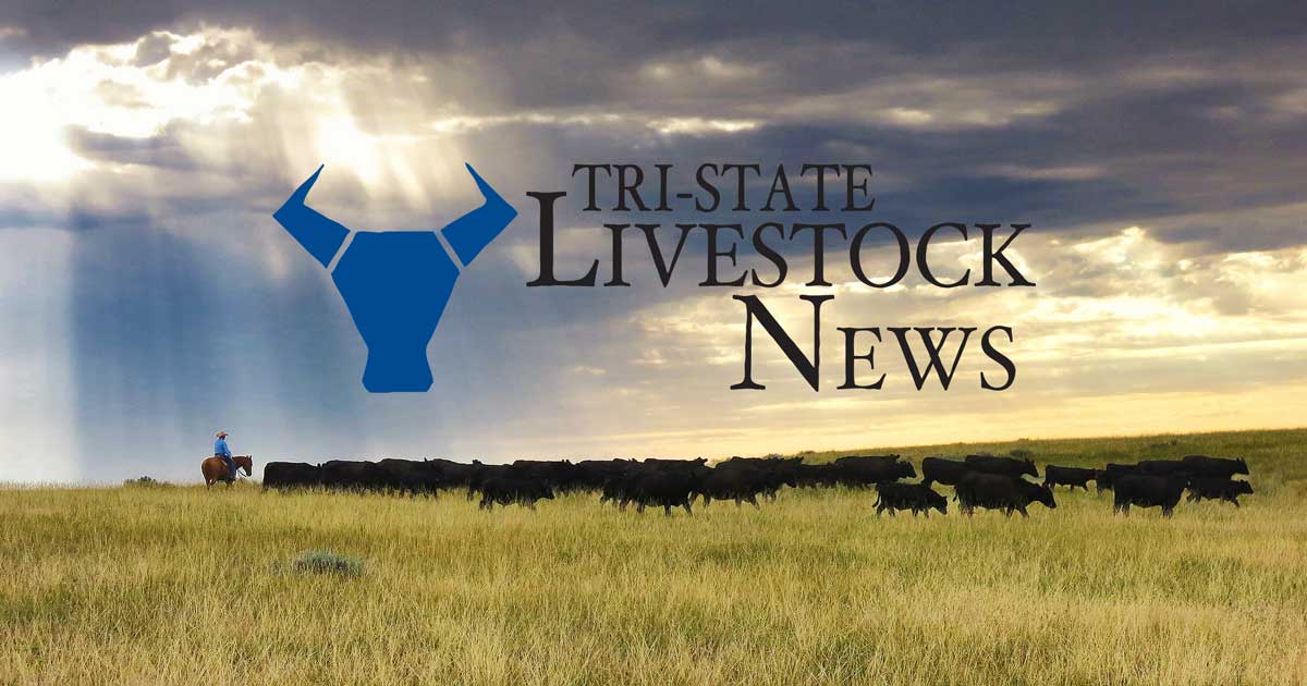 Producers in South Dakota Encouraged to Apply Now For Conservation Programs