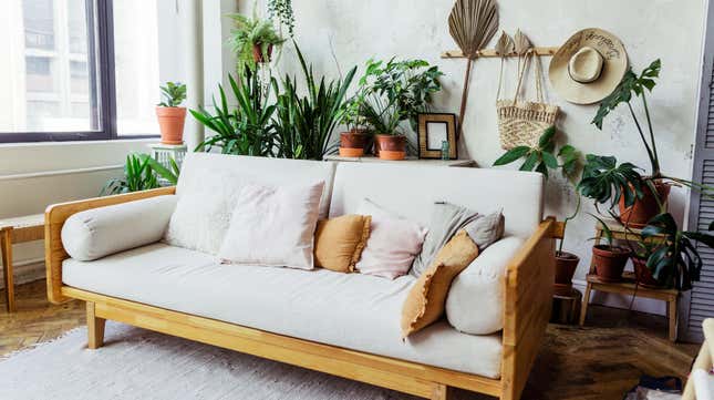 ‘Biophilic Design’ Is the New Home Decor Trend