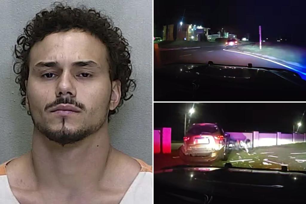 Florida man smashes head through car window, flops ‘out like a…