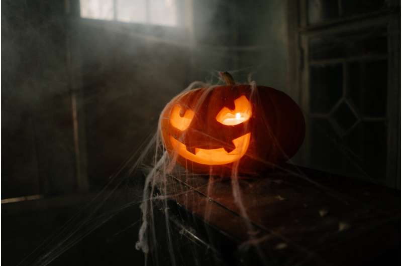 Fake Halloween spiderwebs are truly scary—to wildlife