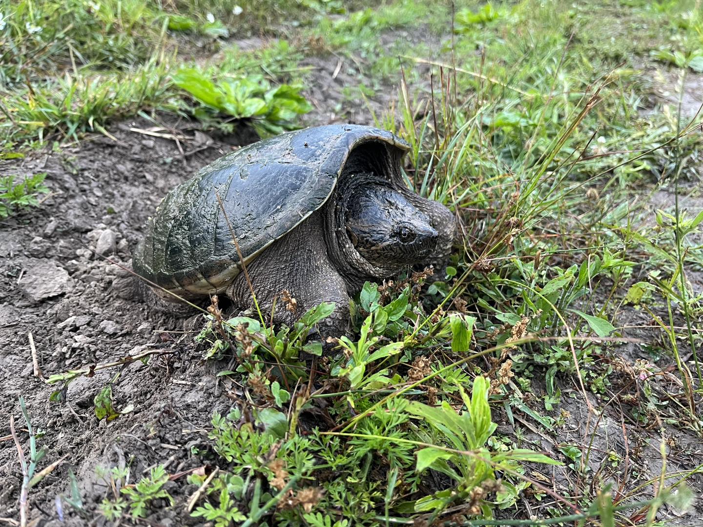 Protecting Nature by Acting Natural