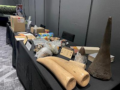 Successful detection rises in effort to stamp out wildlife smuggled in the mail – Wildlife Trade News from TRAFFIC