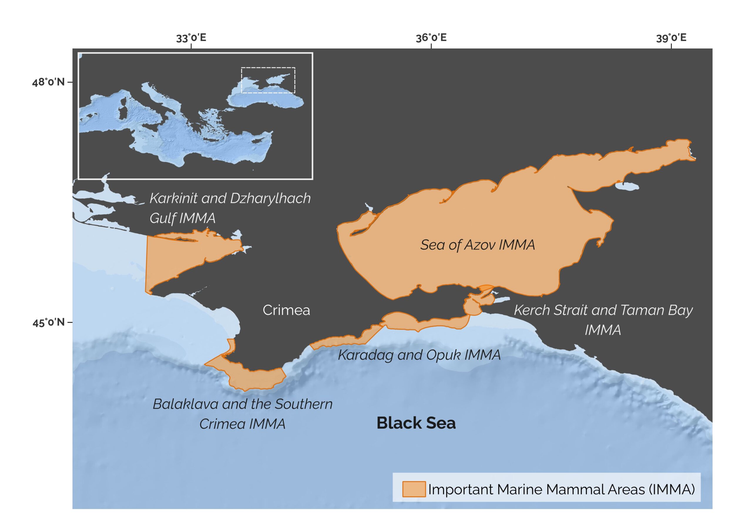 IMMAS CELEBRATED—YET NOW IN DANGER