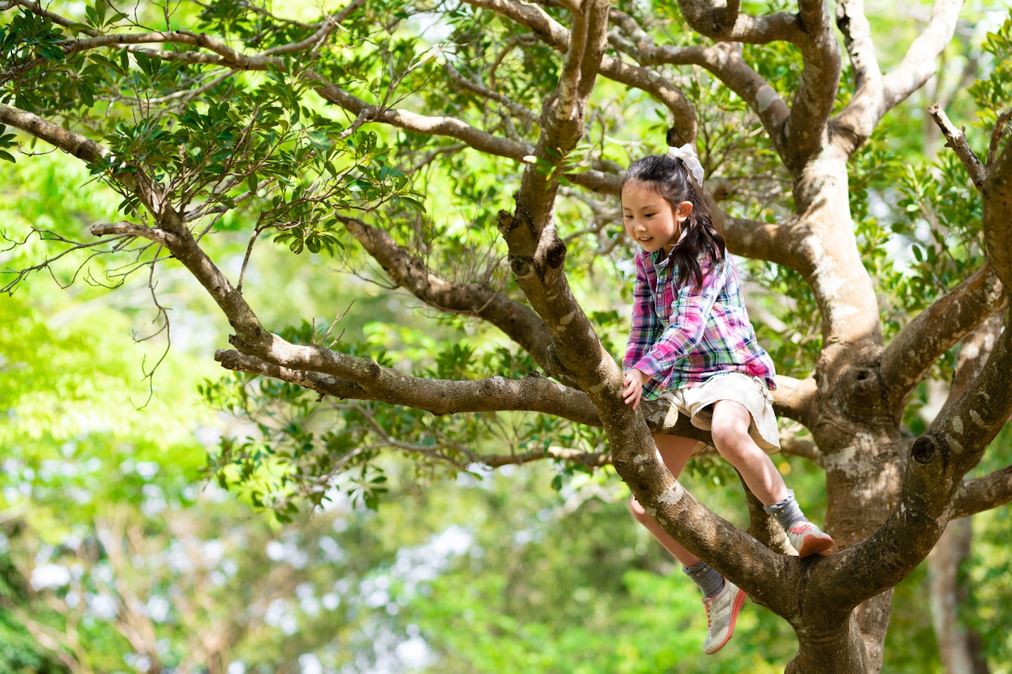 Children today have less independence. Is that fueling a mental health crisis?