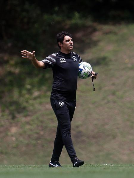 Por que Botafogo confia em Lúcio Flávio e Carli na reta final do Brasileiro