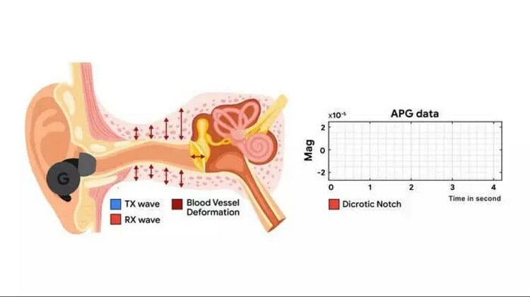 ANC Earbuds: हार्ट रेट की निगरानी करने में मददगार है ANC ईयरबड्स, गूगल ला रहा नई तकनीक