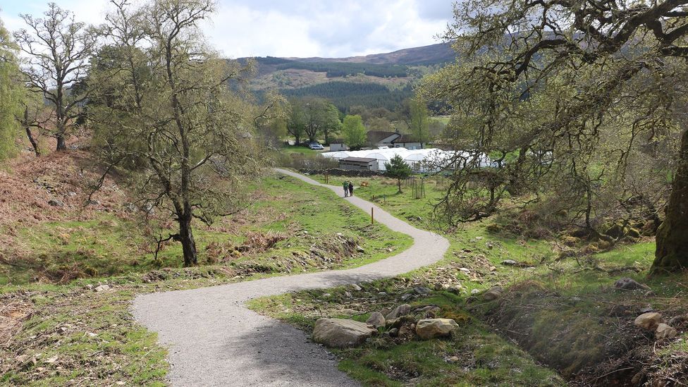 A world-first in the Scottish Highlands