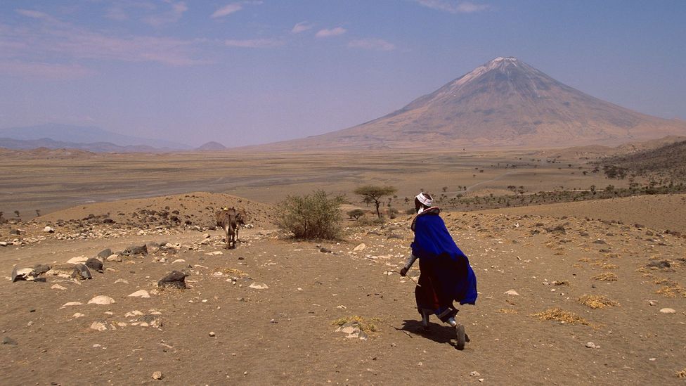 The road less travelled to the Serengeti