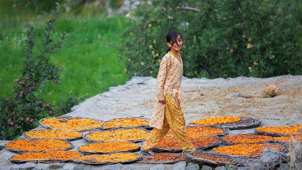 Bataring Daudo: A centuries-old recipe for apricot soup