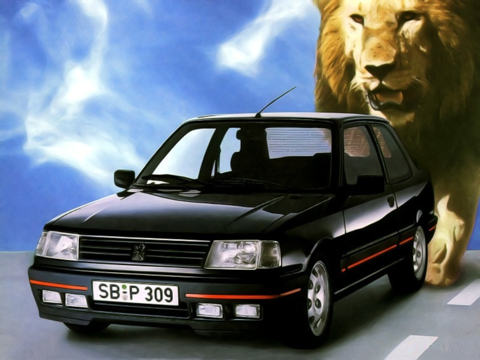 The Peugeot 309 GTi 16 Was A Practical Family Sports Car, Now It’s On The Verge Of Extinction: Holy Grails