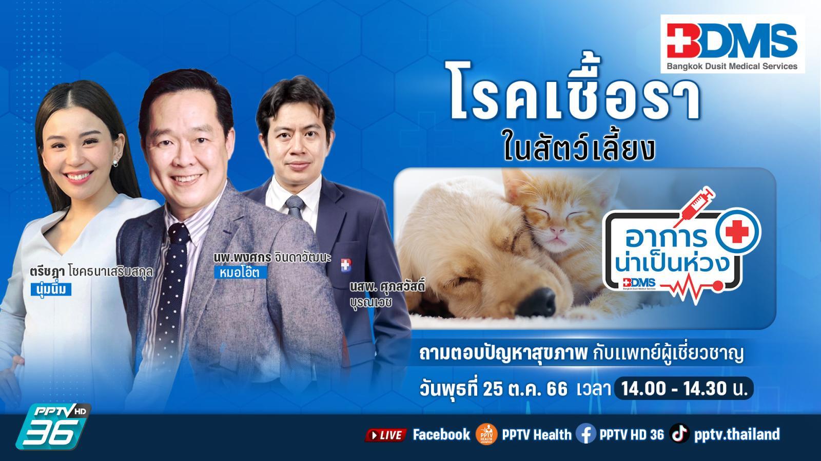 โรคเชื้อราในสัตว์เลี้ยง | อาการน่าเป็นห่วง EP.86