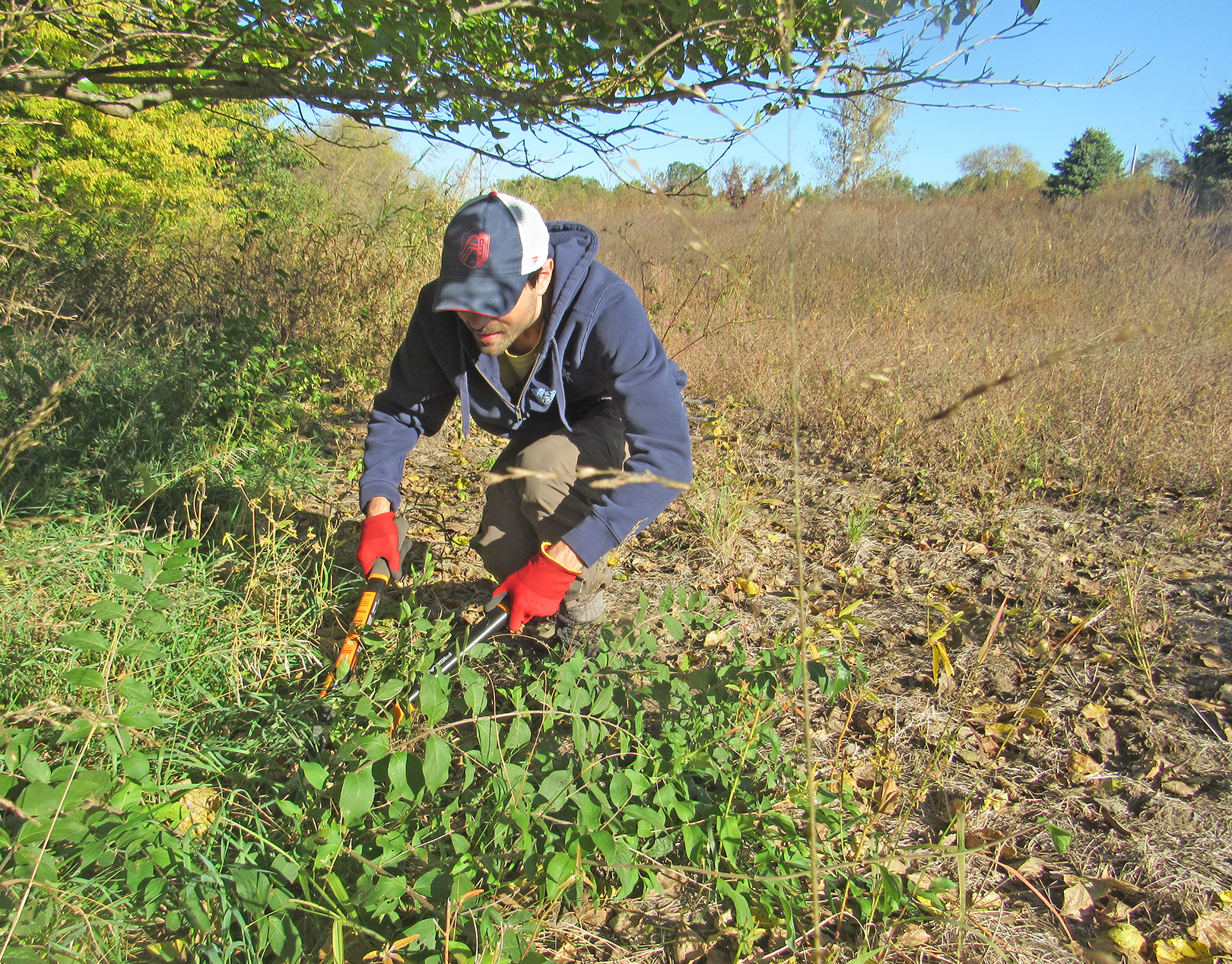 Boosted by Edwardsville foundation funds, volunteers help restore prairie habitat