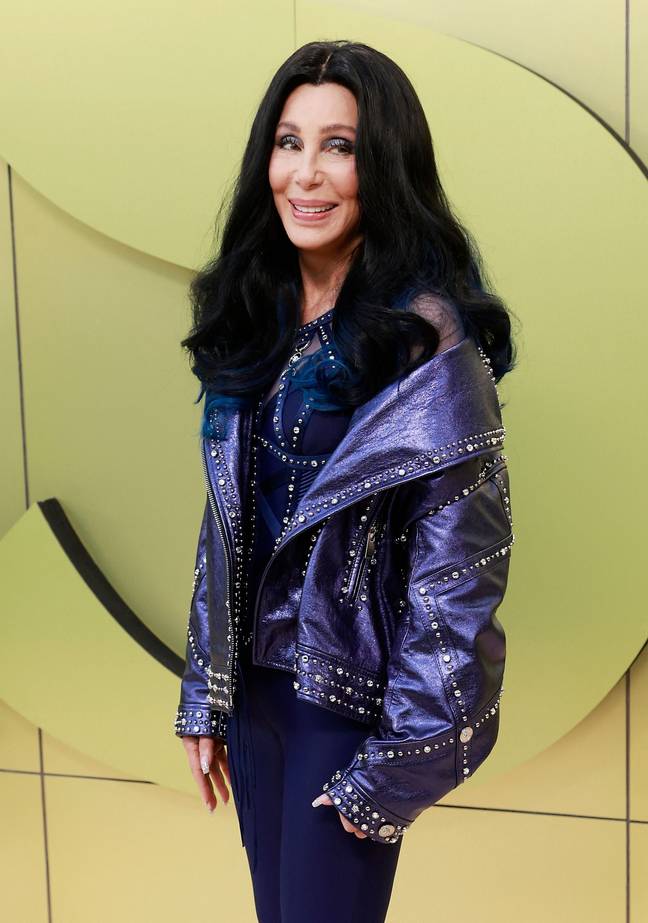 Cher calls for artificial intelligence to be made illegal in the music industry