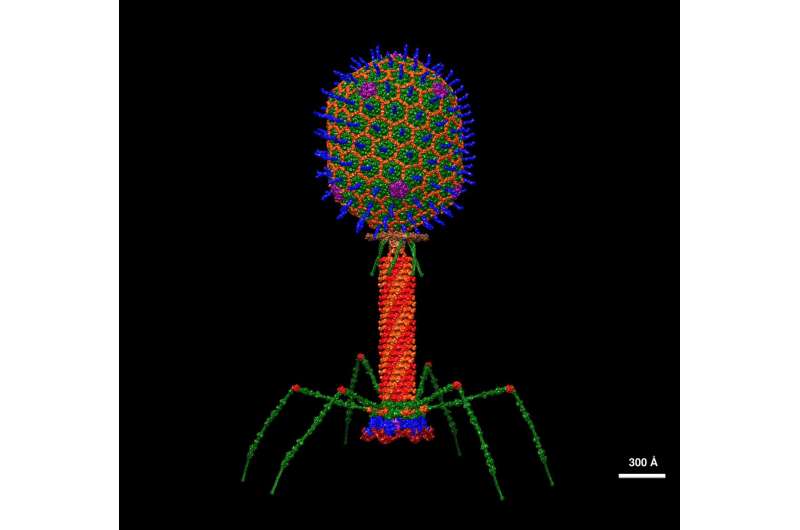 Saturday Citations: Mars limnology, phage immunology, quantum technology. Plus: The mushrooms are coming