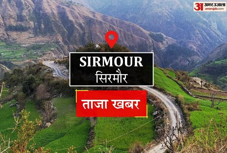 Sirmour News: एमडीएफ नाहन और आरआर स्पोर्ट्स ने जीते क्रिकेट मैच