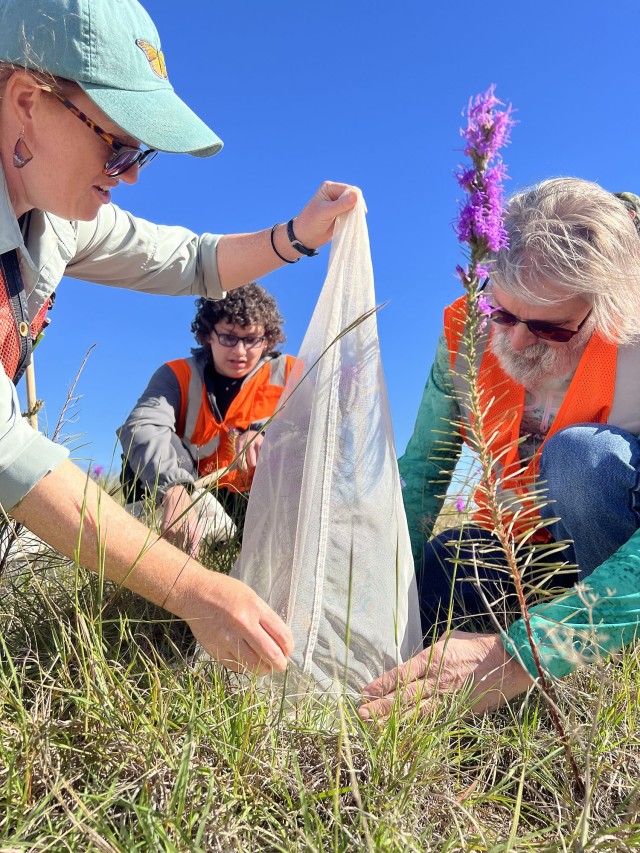 Soldiers, biologists play tag: Cavazos AIM team tags 10,911 monarchs since 2017