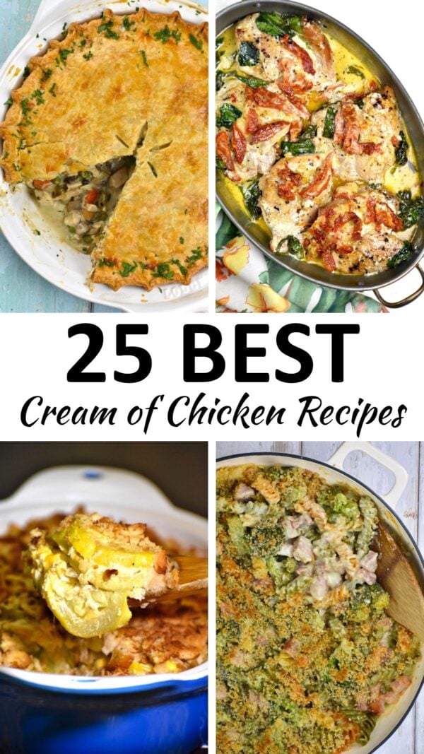 25 BEST Cream of Chicken Recipes (Easy and Delicious!)