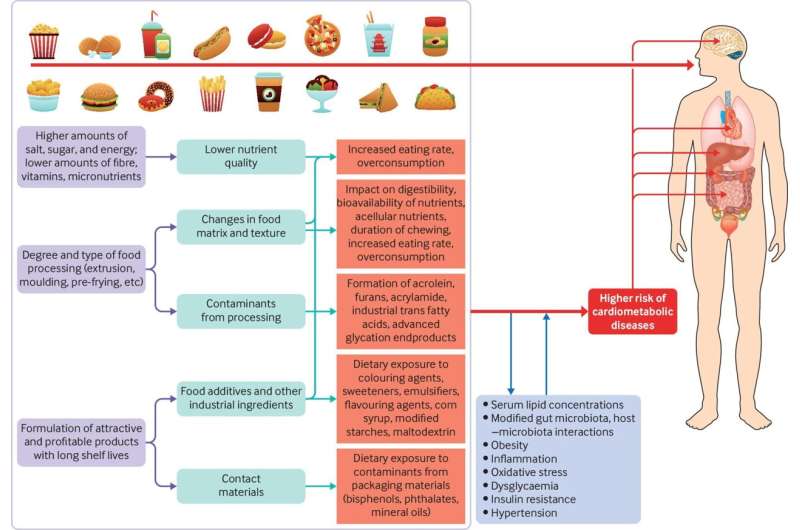 Time to inform the public about the adverse effects of ultra-processed foods, researchers say