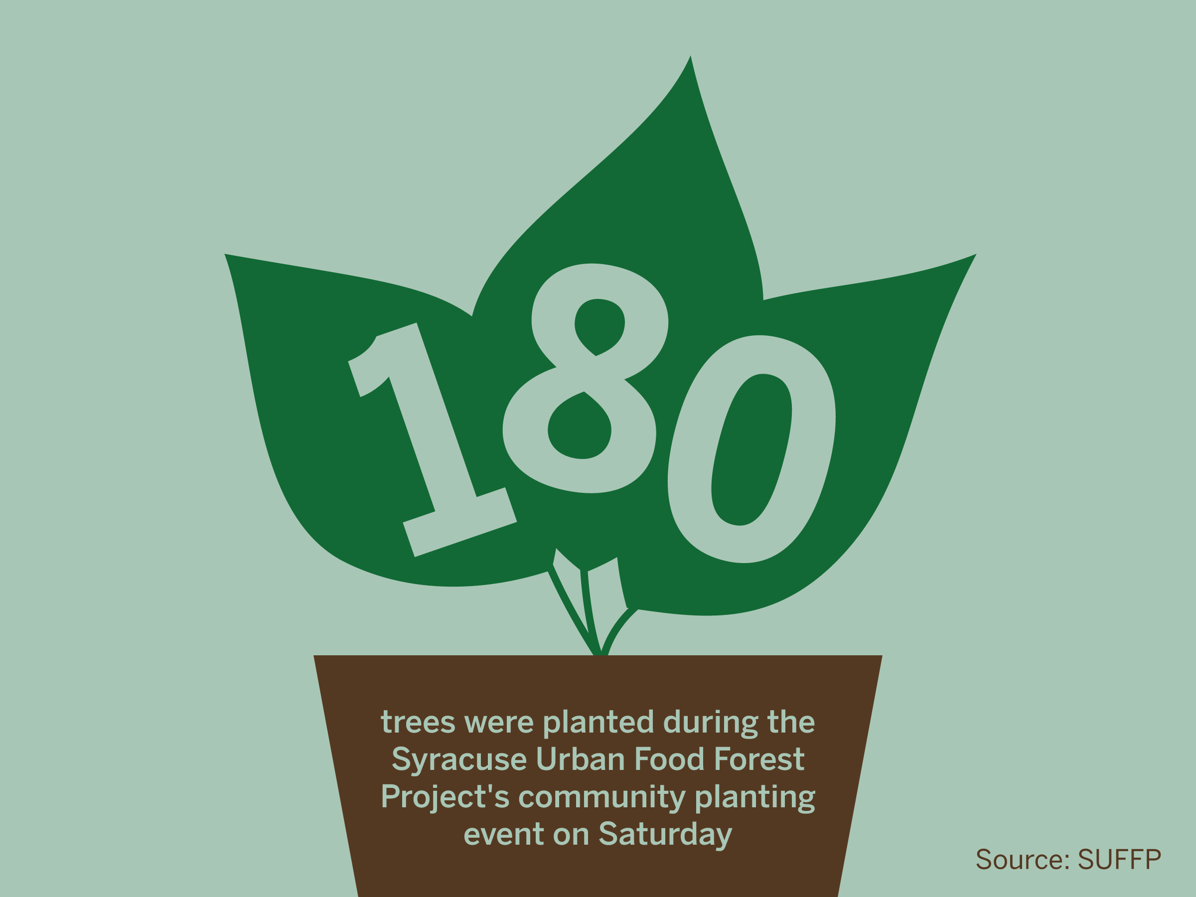 Syracuse Urban Food Forest Project plants 180 trees to expand edible urban landscapes
