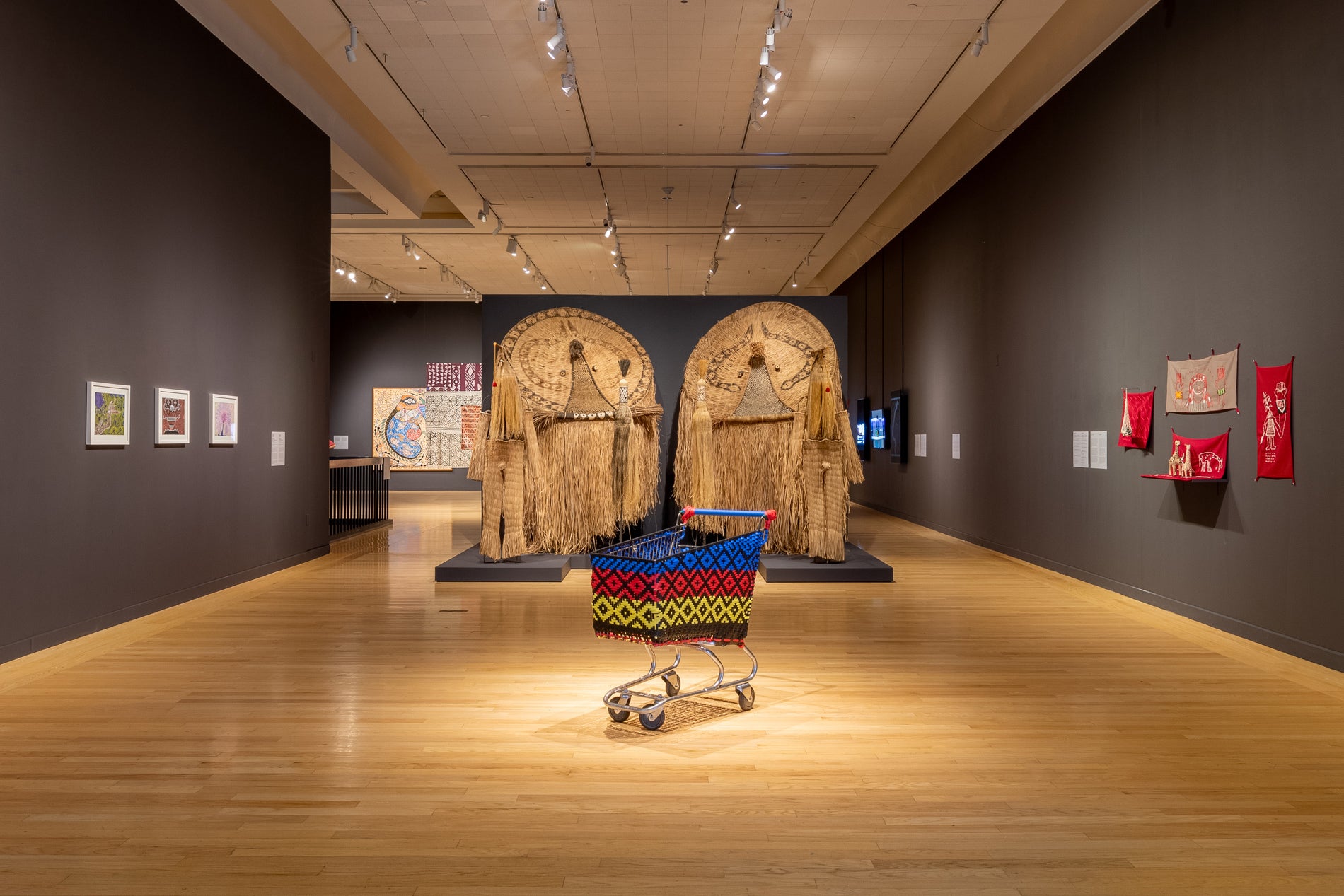 Contemporary Indigenous Art of Brazil Comes to Tufts