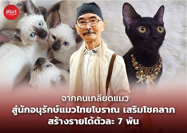 จากคนเกลียดแมว สู่นักอนุรักษ์แมวไทยโบราณ เสริมโชคลาภ สร้างรายได้ตัวละ 7 พัน | เส้นทางเศรษฐี