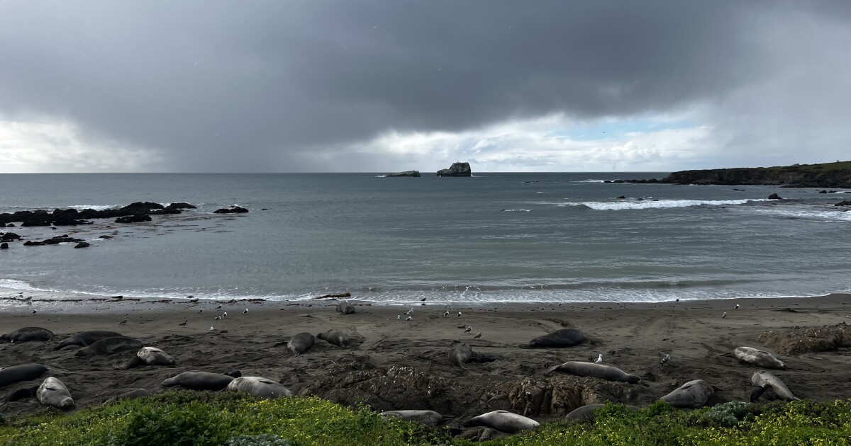 SLO County welcomes first rain of the season with safety tips