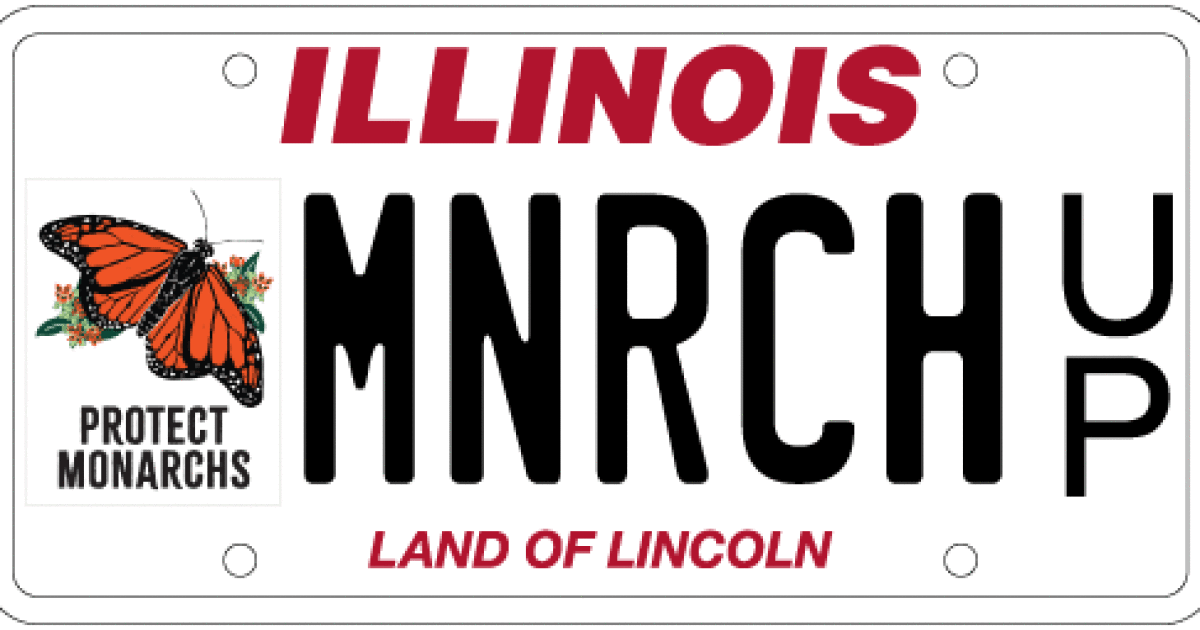 Illinois announces license plate to help monarch butterfly conservation